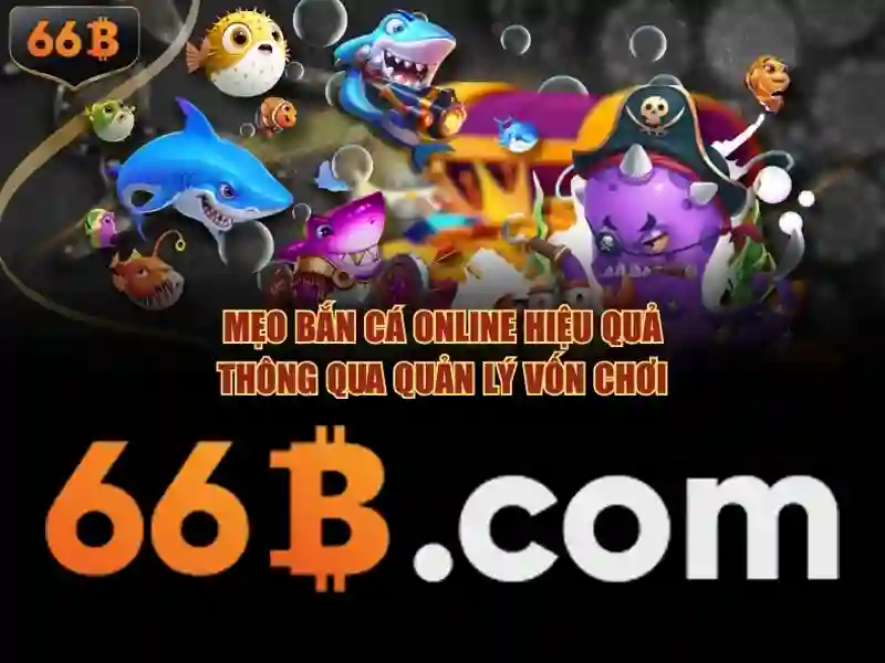 Các đặc điểm của 66B
