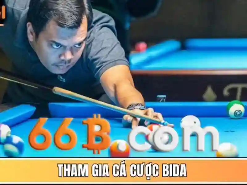 Hiệu suất và tối ưu hóa