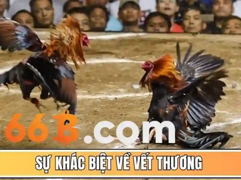 Định hướng và thách thức